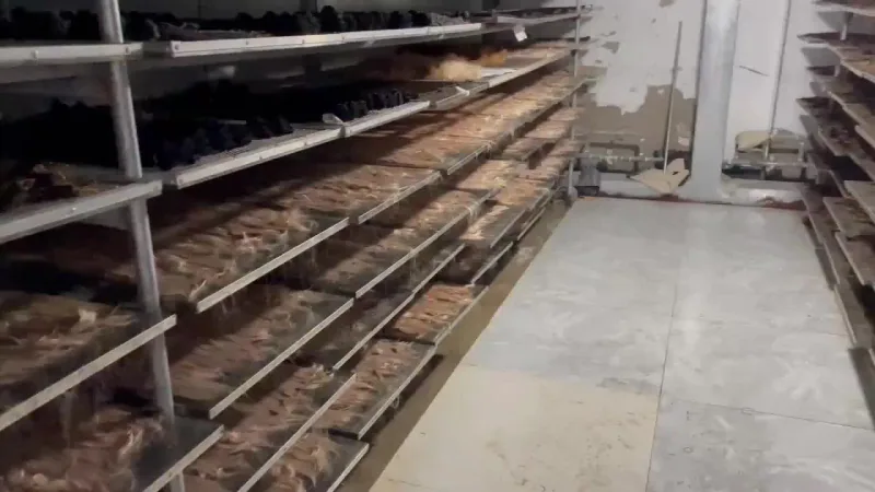 Processing — factory video preview